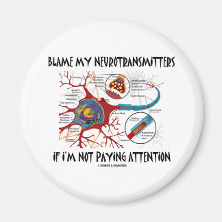 Blame My Neurotransmitters If Not Paying Attention Magnet