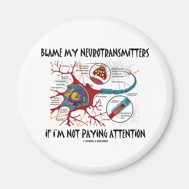 Blame My Neurotransmitters If Not Paying Attention Magnet (Front)