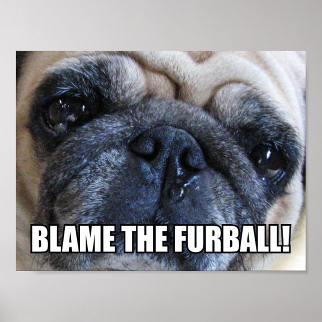 BLAME THE FURBALL! ALLERGY MEME POSTER (Front)