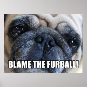 BLAME THE FURBALL! ALLERGY MEME POSTER