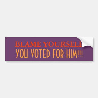 Blame Yourself, you voted for him Bumper Sticker