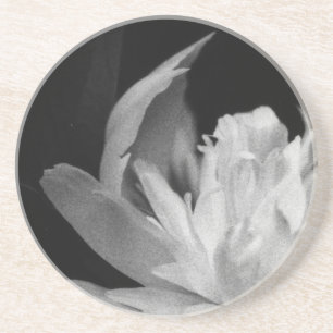 Blanc Coaster