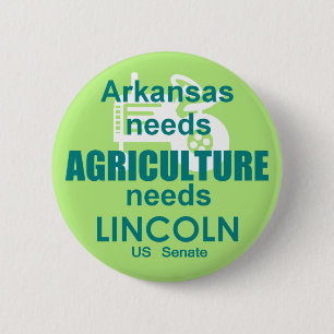 Blanche LINCOLN Senate Button
