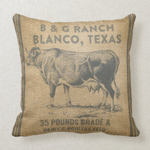 Blanco Texas Cushion