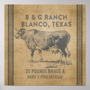 Blanco Texas Poster