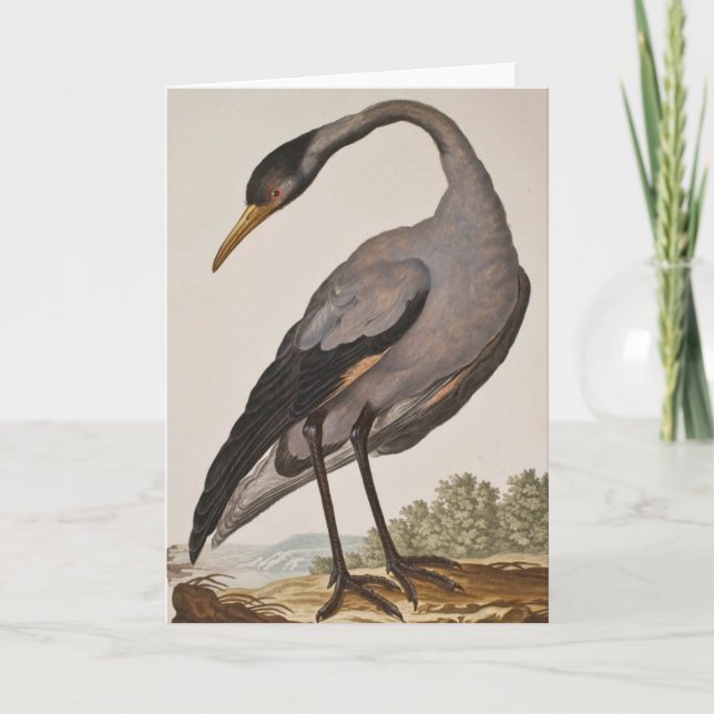 Blank 18th century Heron Notecard (Front)