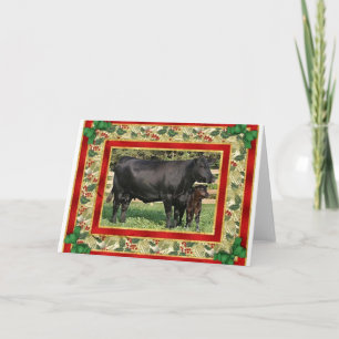 Blank Angus Cow And Calf Blank Christmas Card