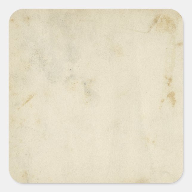 Blank Antique Aged Paper Stained Stickers (Front)