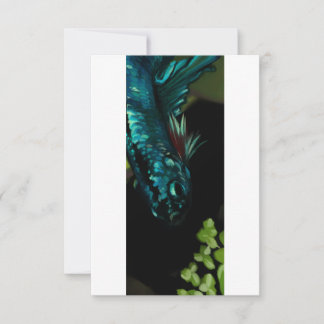 Blank - Azure Blue Betta Fish Painting  Thank You Card