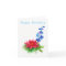 Blank birthday card July birth flowers