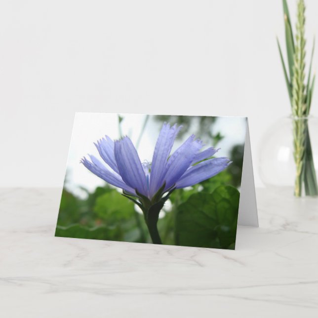 Blank Blue Flower Card (Front)