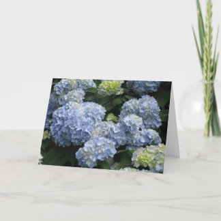 Blank Blue Hydragea Card