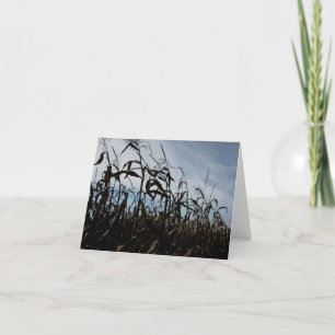 Blank_Breezy Corn Stalks Card