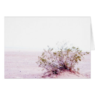 blank card