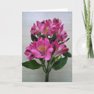 Blank Card -Alstromeria