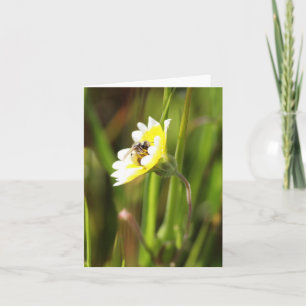 Blank Card, Bumble Bee Card
