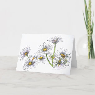 Blank Card Daisies