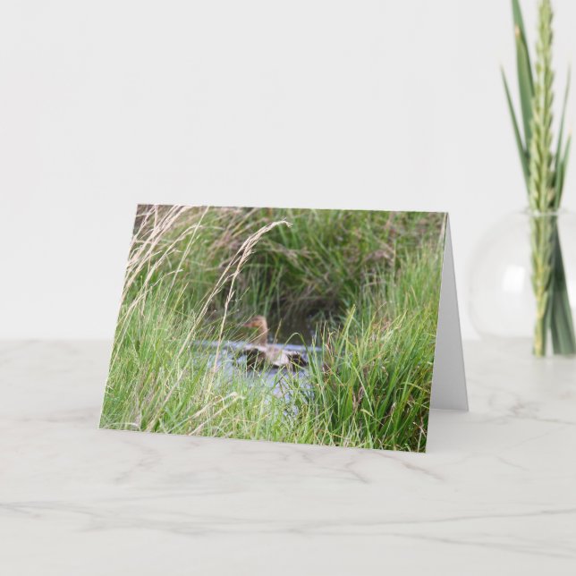 Blank Card, Duck Thank You Card (Front)
