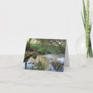 Blank Card, Ducks Thank You Card