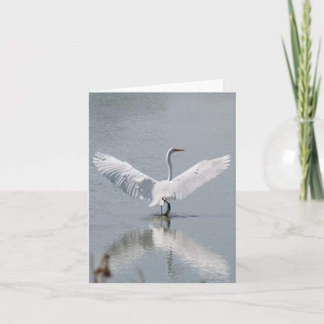 Blank Card, Egret Thank You Card (Front)