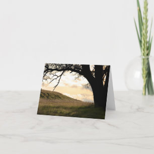 Blank Card, Landscape Thank You Card