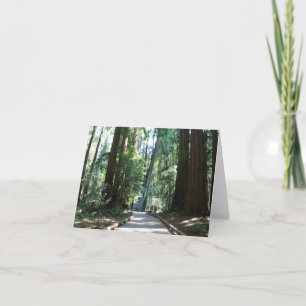 Blank Card, Muir Woods Card