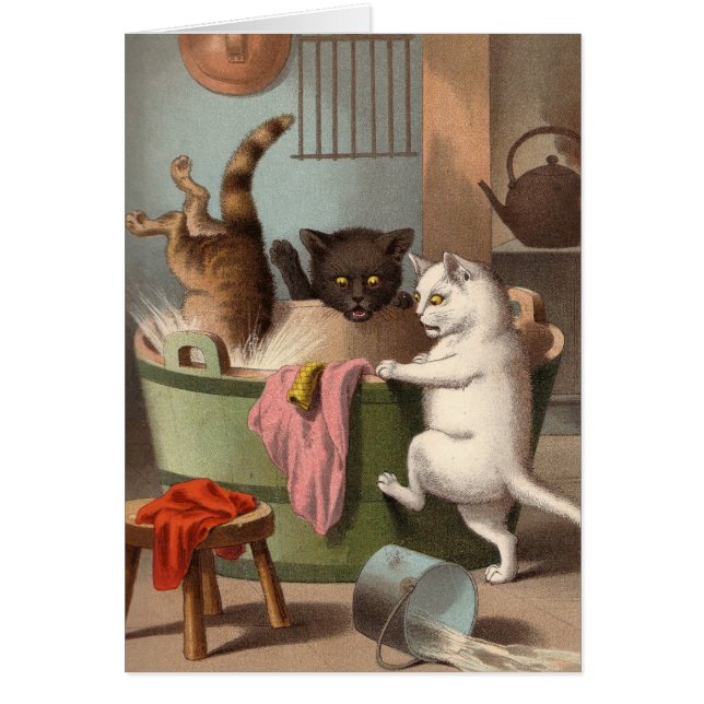 Blank card - Naughty Cat series - Cats Washday (Front)