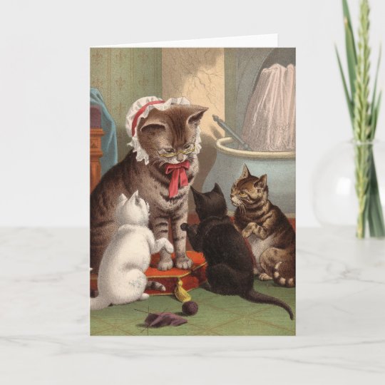 Blank Note Card St Francis And Cat Uk