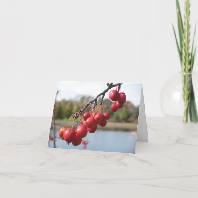 Blank Card - Red Berries (Front)
