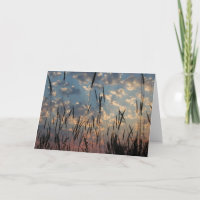 Blank Card - Vancouver Island Sunset