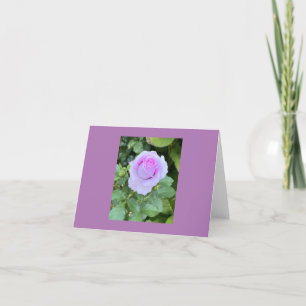 Blank Card With Rose