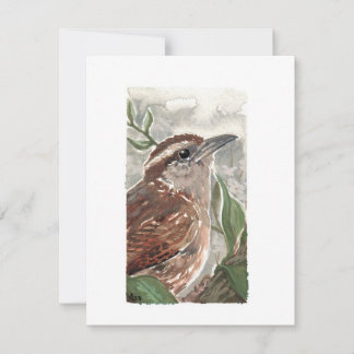 Blank - Carolina Wren Watercolor Print Holiday Card