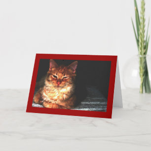 Blank Cat Greeting card... Card