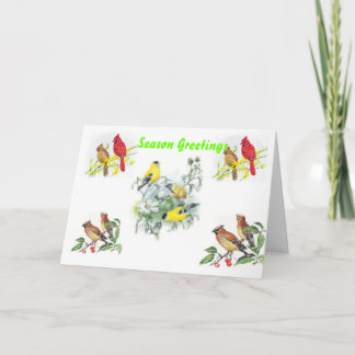 Blank Christmas Card
