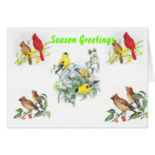 Blank Christmas Card
