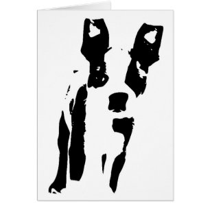 Blank Cute Boston Terrier Puppy Dog