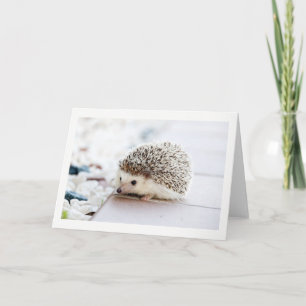 Blank Cute Hedgehog greeting card