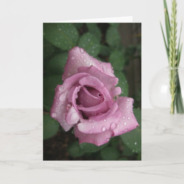 Blank-Dew Pink Rose Holiday Card (Front)