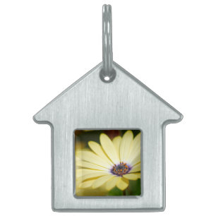Blank Floral Pet Tag