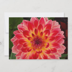 Blank Folded Invitation