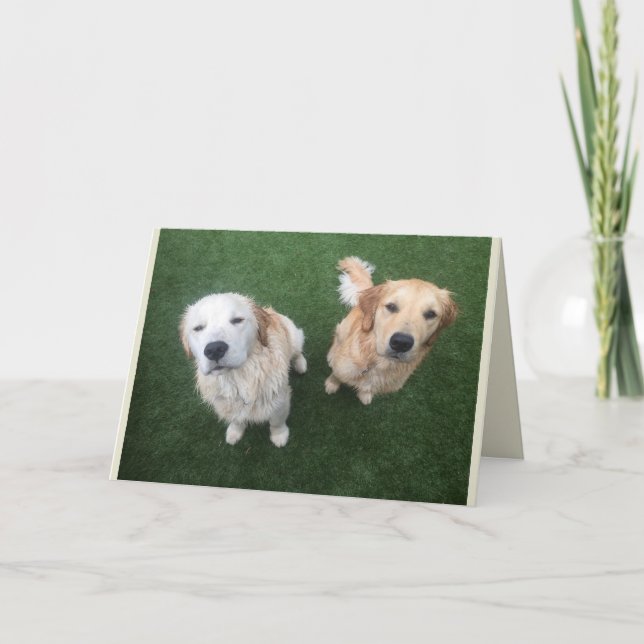 Blank Golden Retriever Greeting Card (Front)