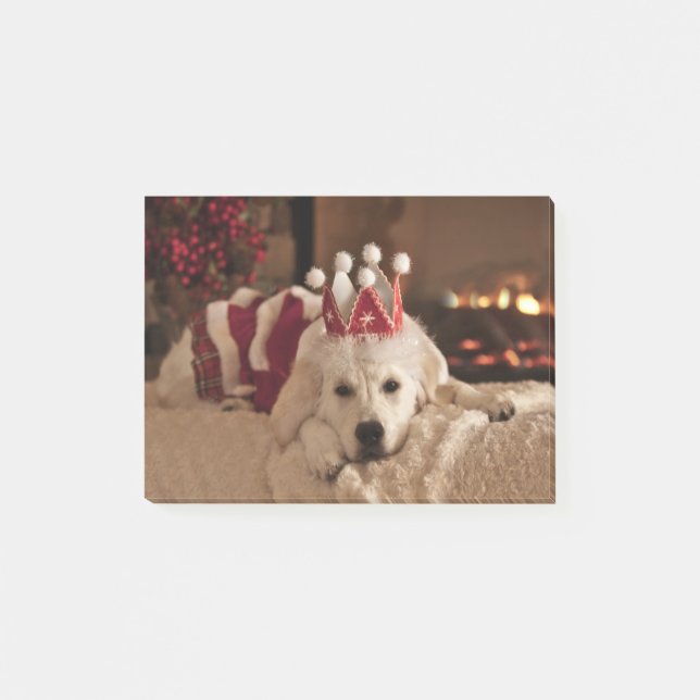 Blank Golden Retriever Photo Post It Notes (Front)