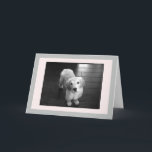Blank Golden Retriever Puppy Greeting Card<br><div class="desc">Arnie as a puppy for the camera.  I hope he can brighten your day.</div>