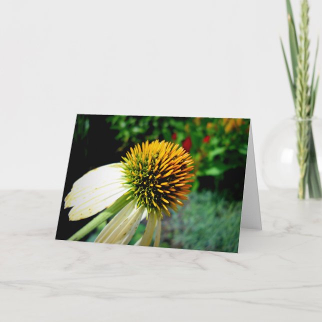 Blank Greeting Card (Front)