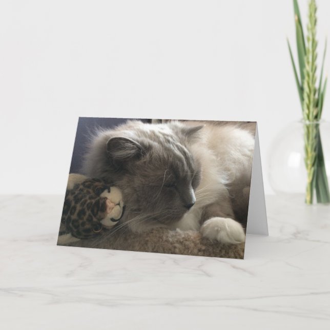 Blank Greeting Card (Front)