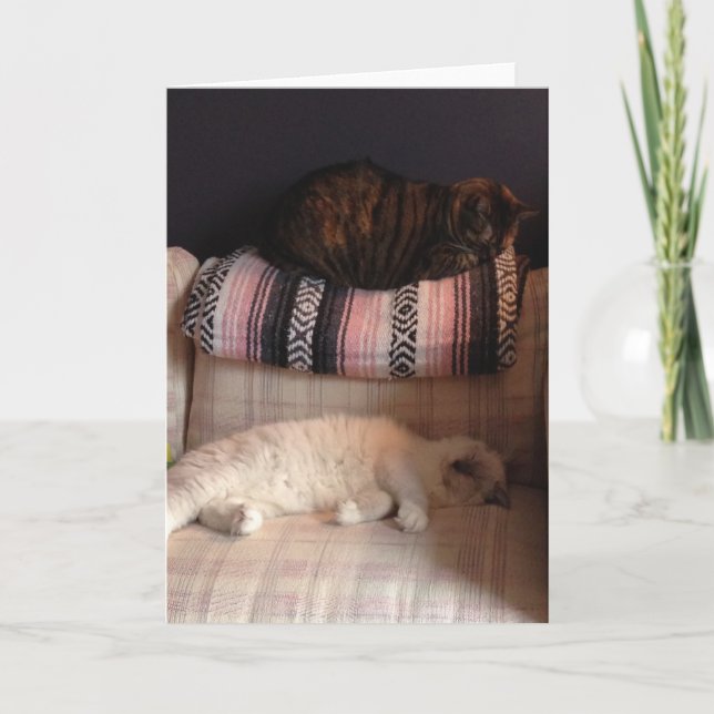 Blank Greeting Card (Front)