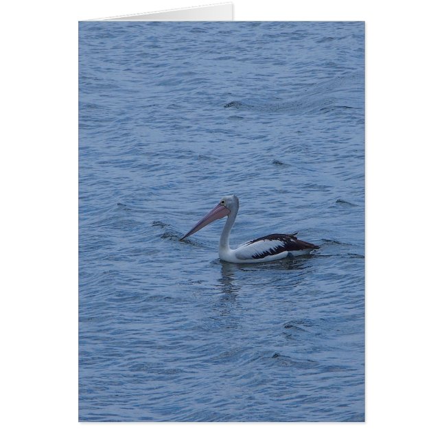 Blank greeting card (Front)