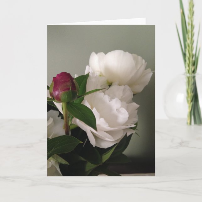 Blank Greeting Card (Front)