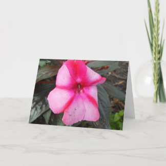 Blank Greeting Card