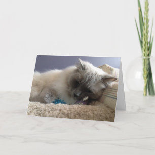 Blank Greeting Card